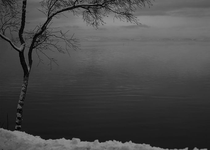 BW TREE