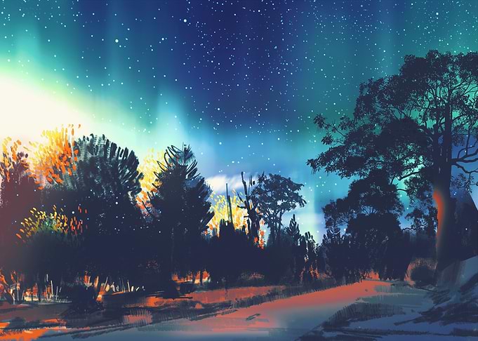 Star field above the trees