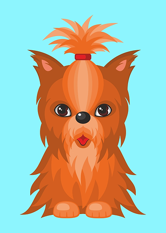 Cute Yorkshire Terrier