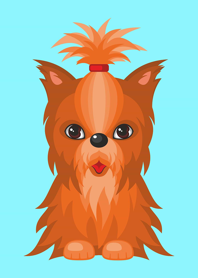Cute Yorkshire Terrier