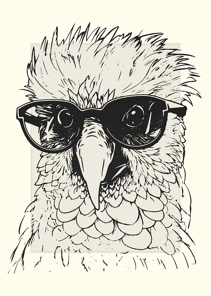 Cockatoo Bird Sketch