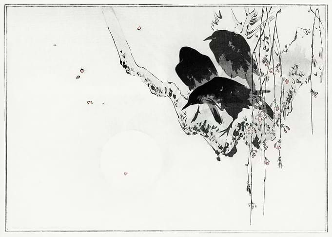 Japanese crows
