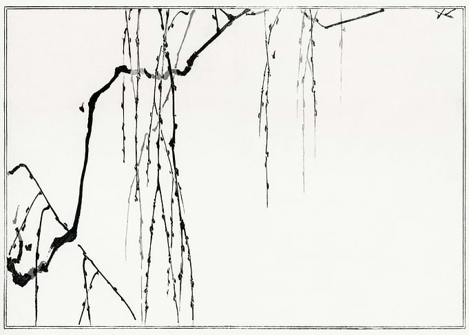 Tree Branches