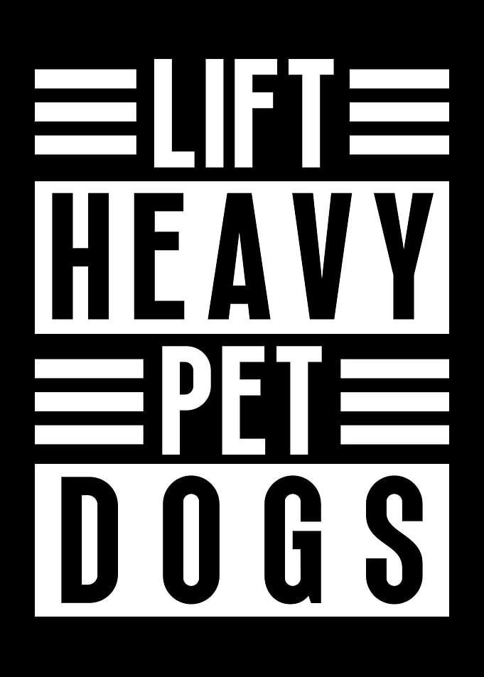 Lift heavy pet dogs