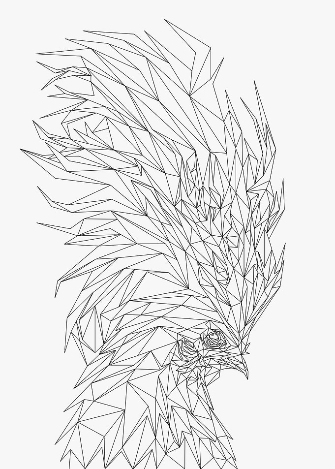 Low Poly Wireframe