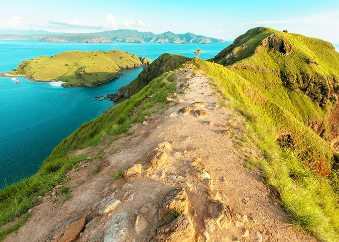 GREEN HILL SEA