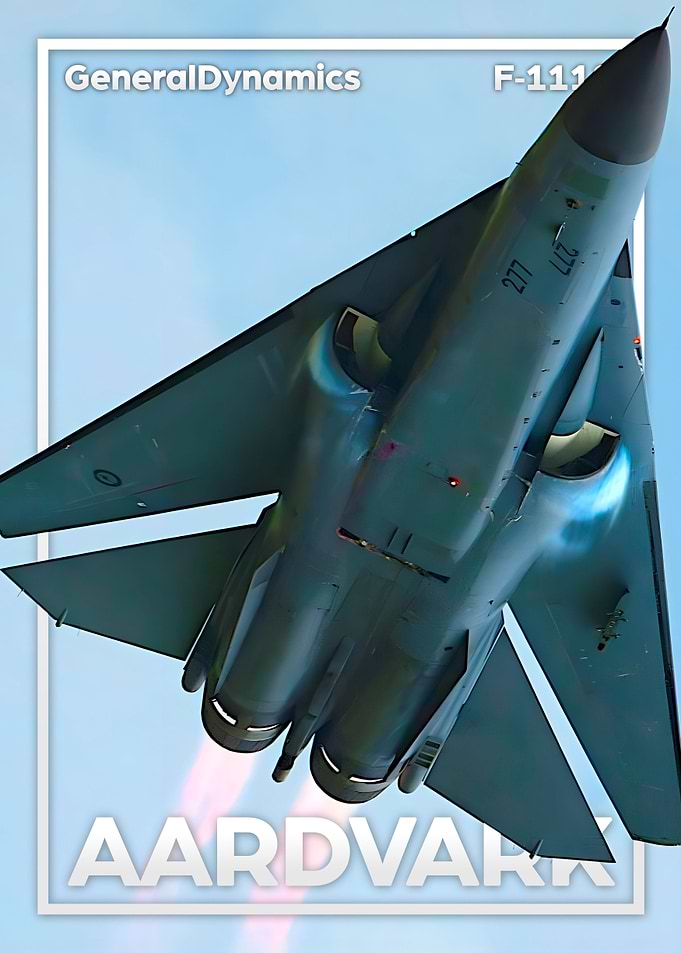 F111 Aardvark