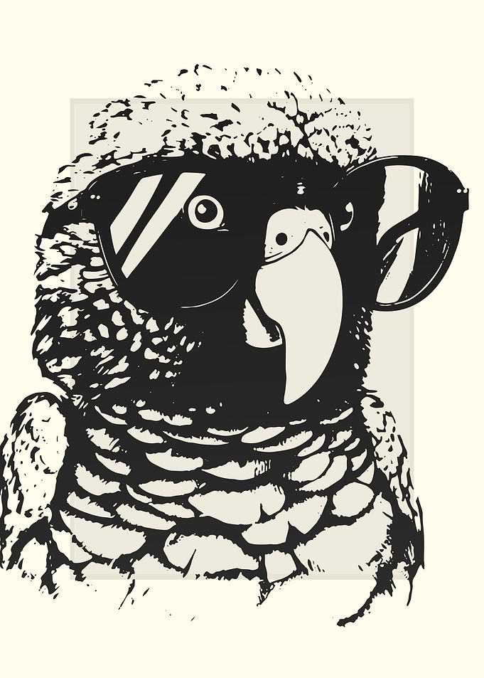 Conure Illustration