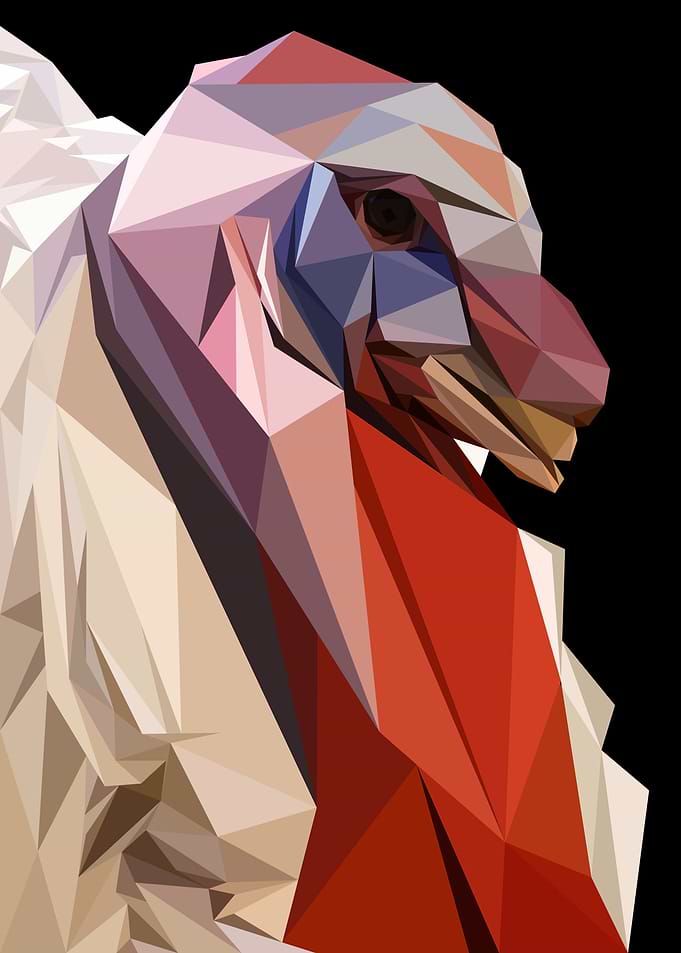 White Turkey Abstract