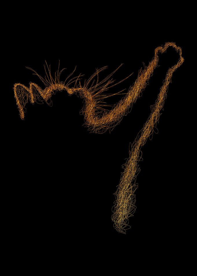 Cat scribble art