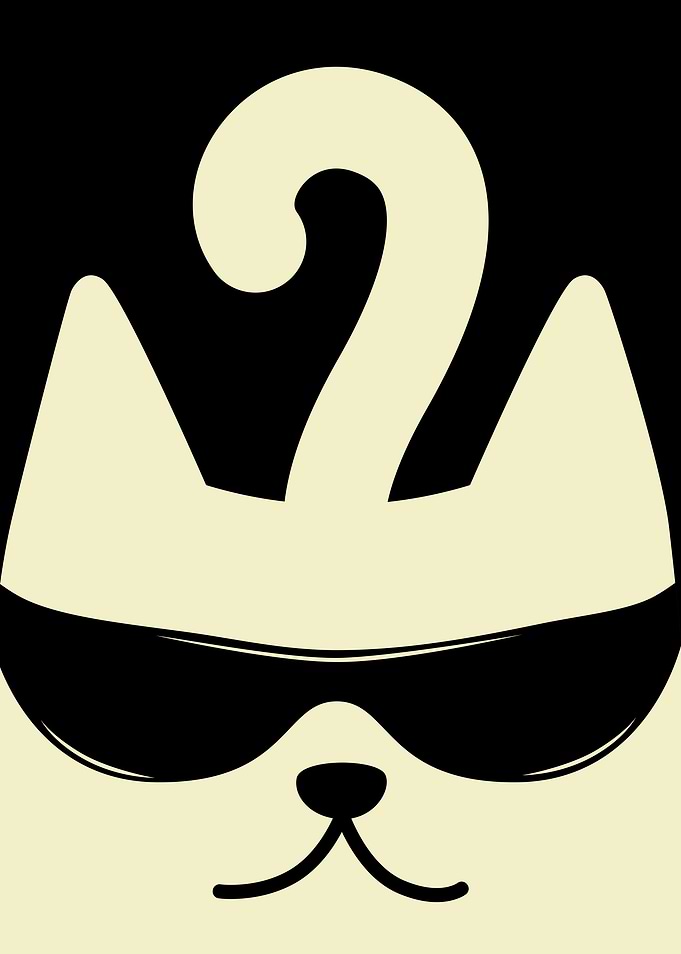 Bespectacled cat