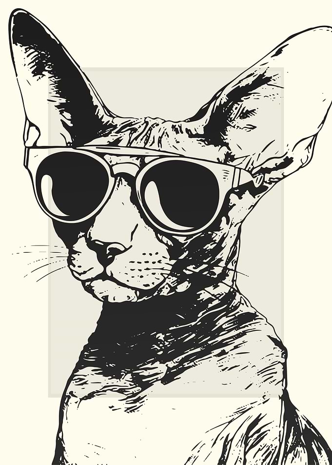 Cornish Rex Cat Sketch