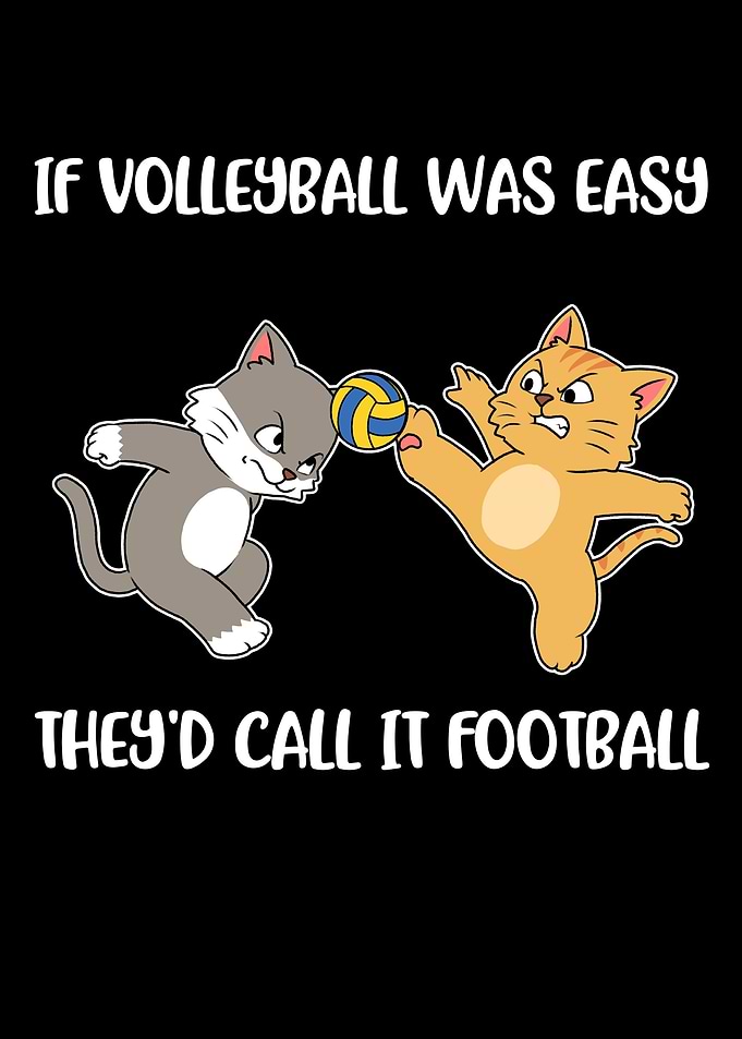 If Volleyball Was Easy