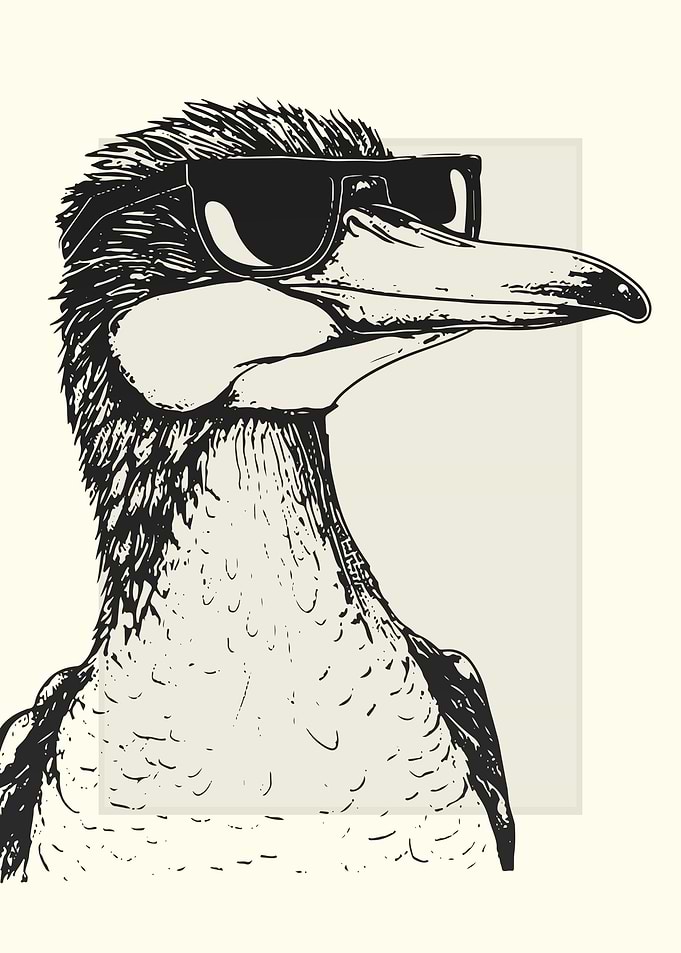 Cormorant Illustration