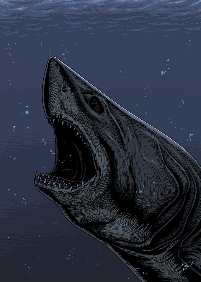 Megalodon
