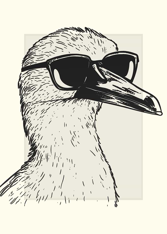 Cormorant Illustration