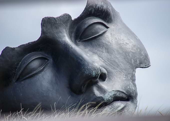 The Head Sculpture