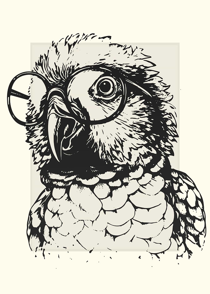 Conure Illustration