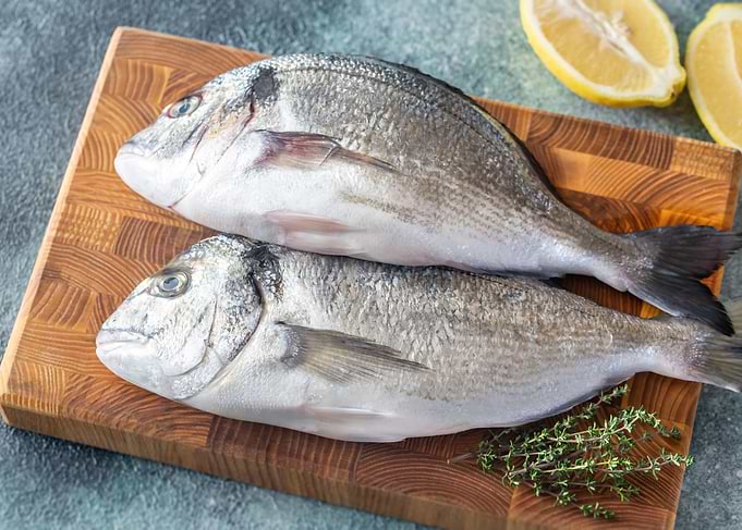Fresh dorada