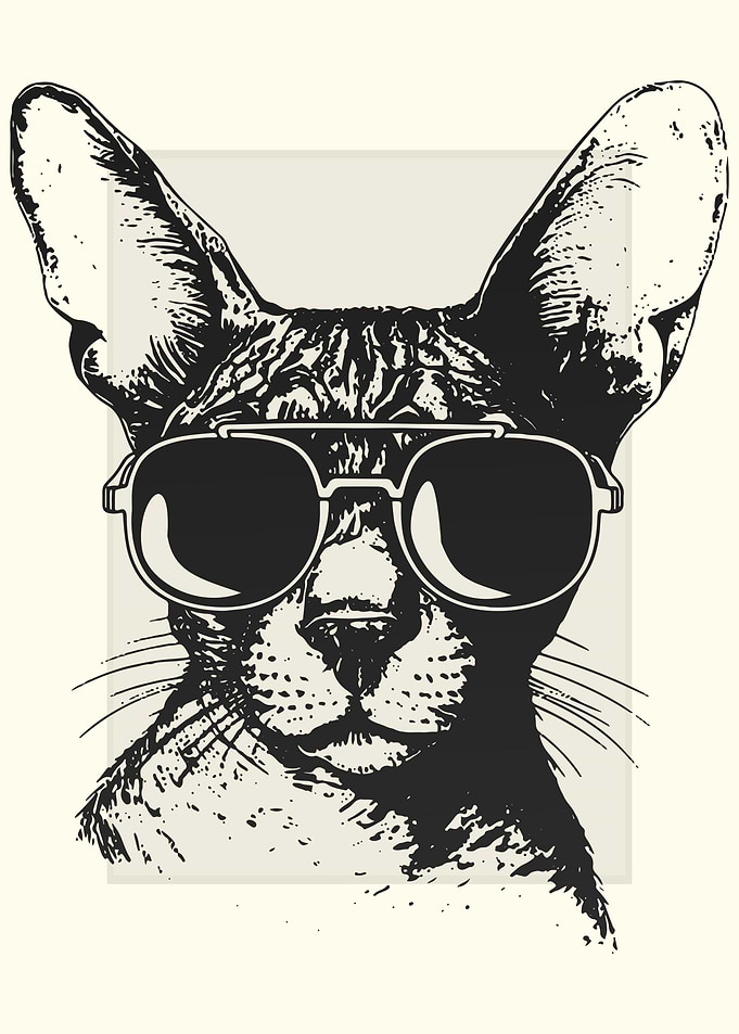 Cornish Rex Cat Sketch