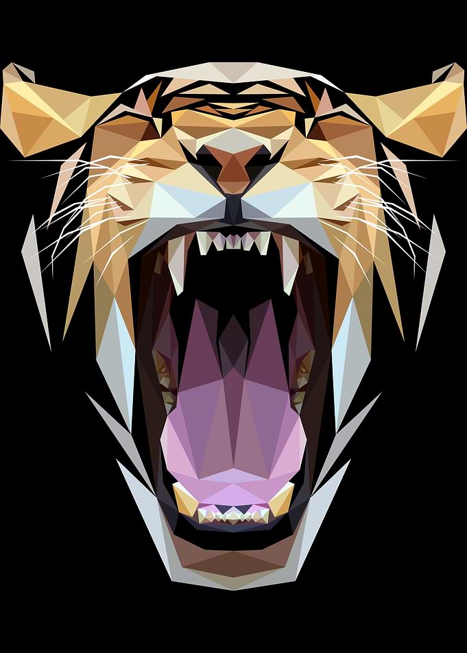 Head of Tiger Abstract