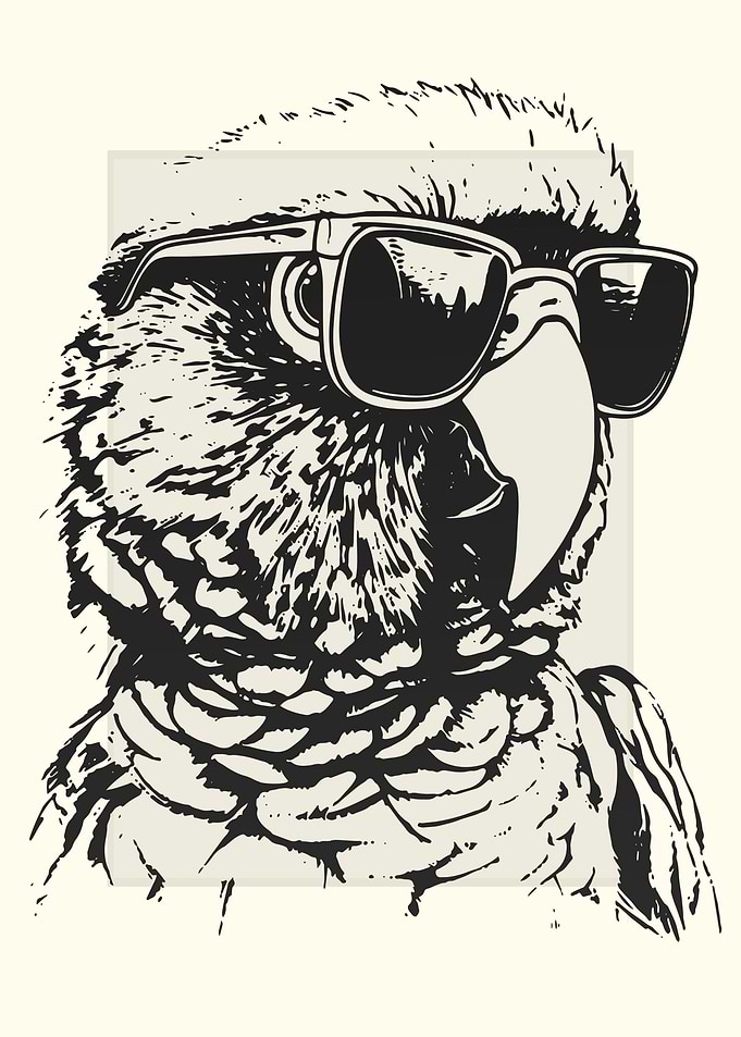 Conure Sketch
