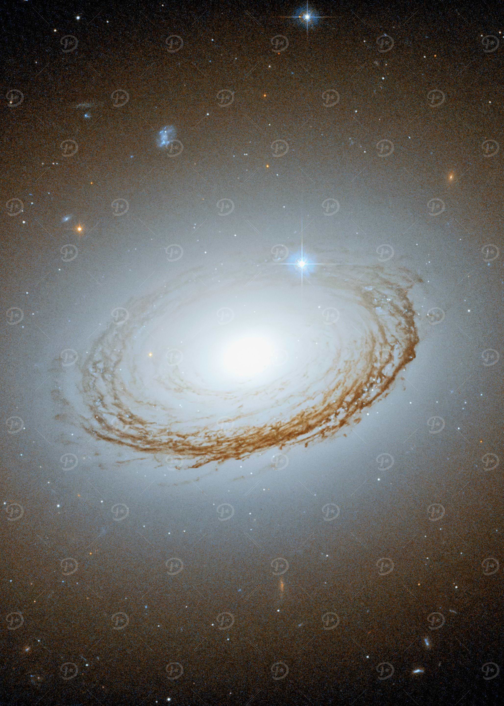 Galaxy NGC 7049
