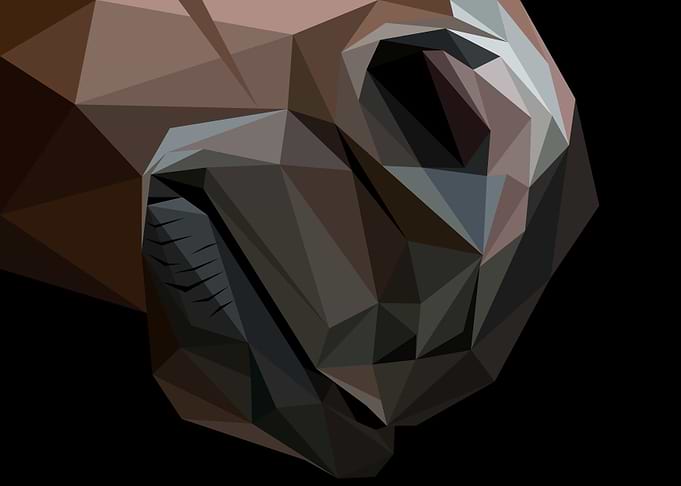 Abstract Smiley Horse