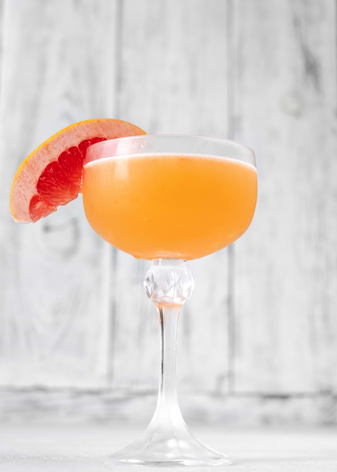 Chihuahua Margarita