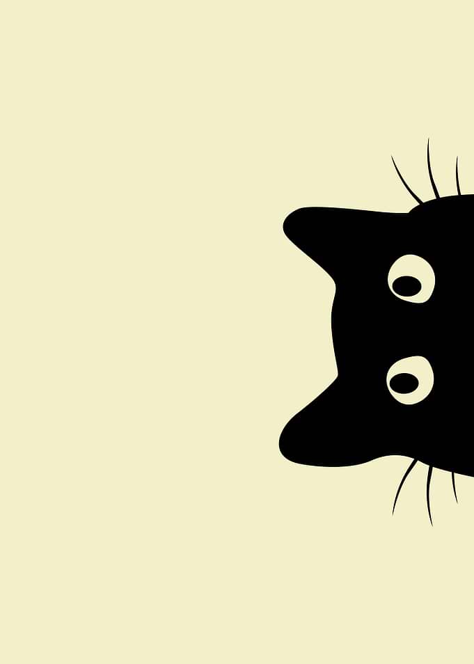 Peeking Cat