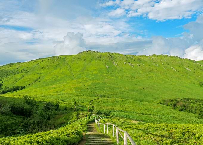 GREEN HILL