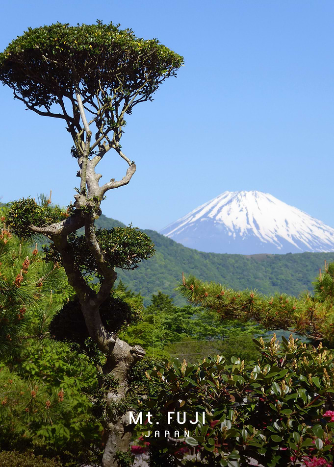 Mount Fuji