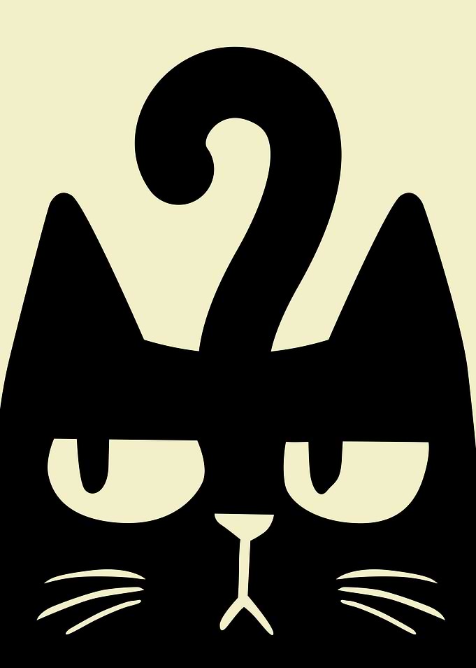 Frown Cat