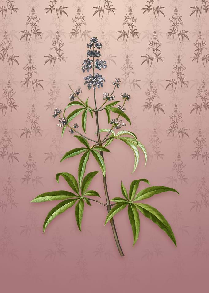 Vintage Chaste Tree