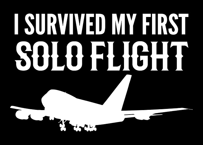 First Solo Flight Copilot