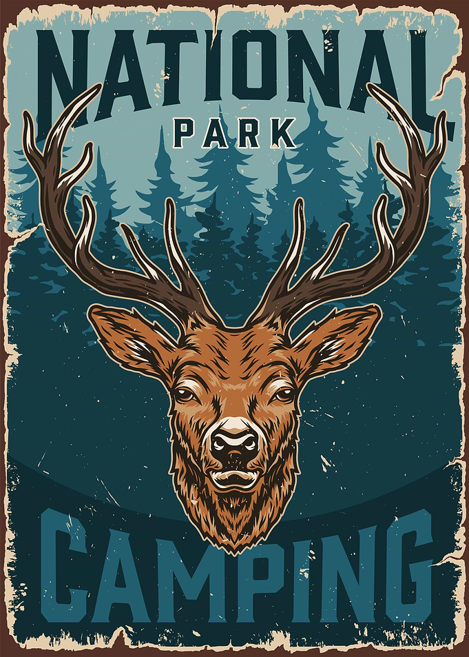 National Park Camping Deer