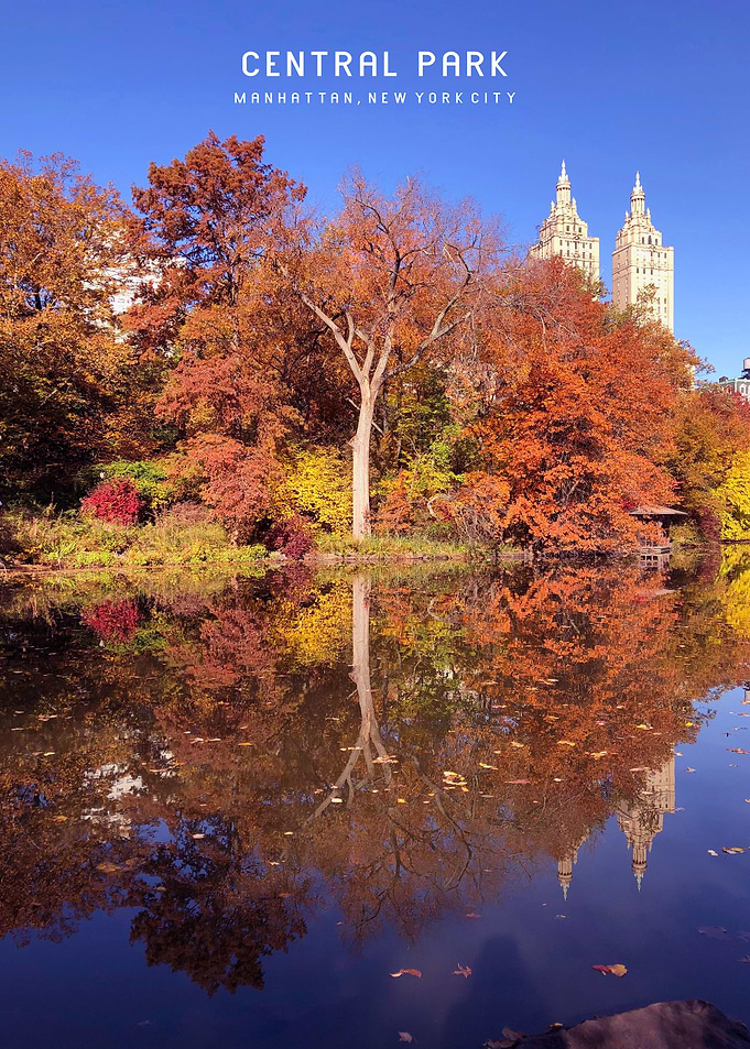 Central Park