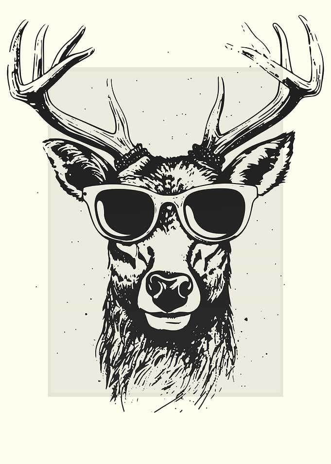 Deer Illustration