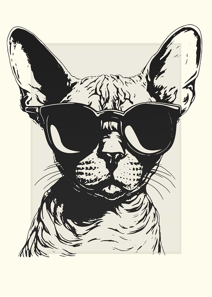 Devon Rex Illustration