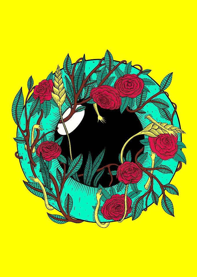 Eye Illustration