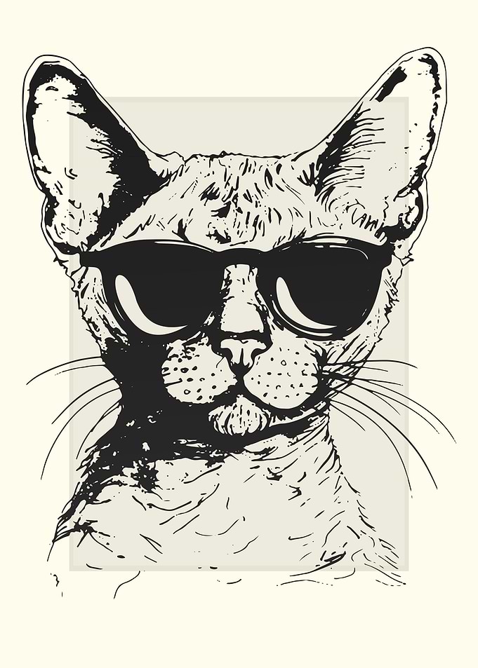 Devon Rex Illustration