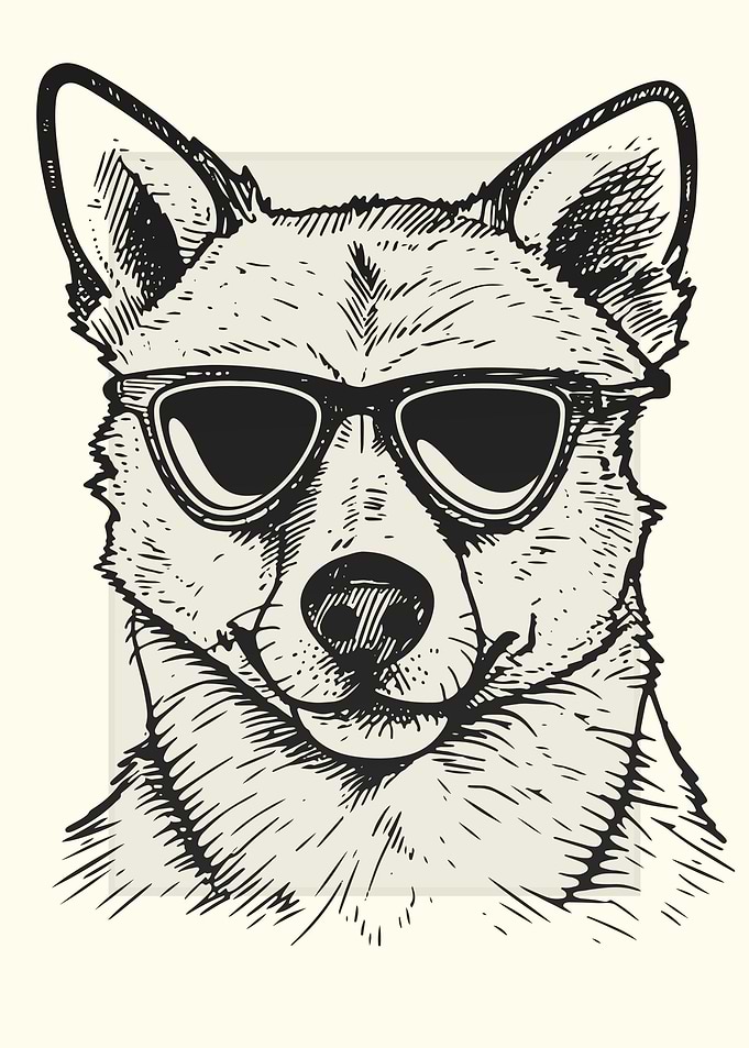 Dingo Illustration