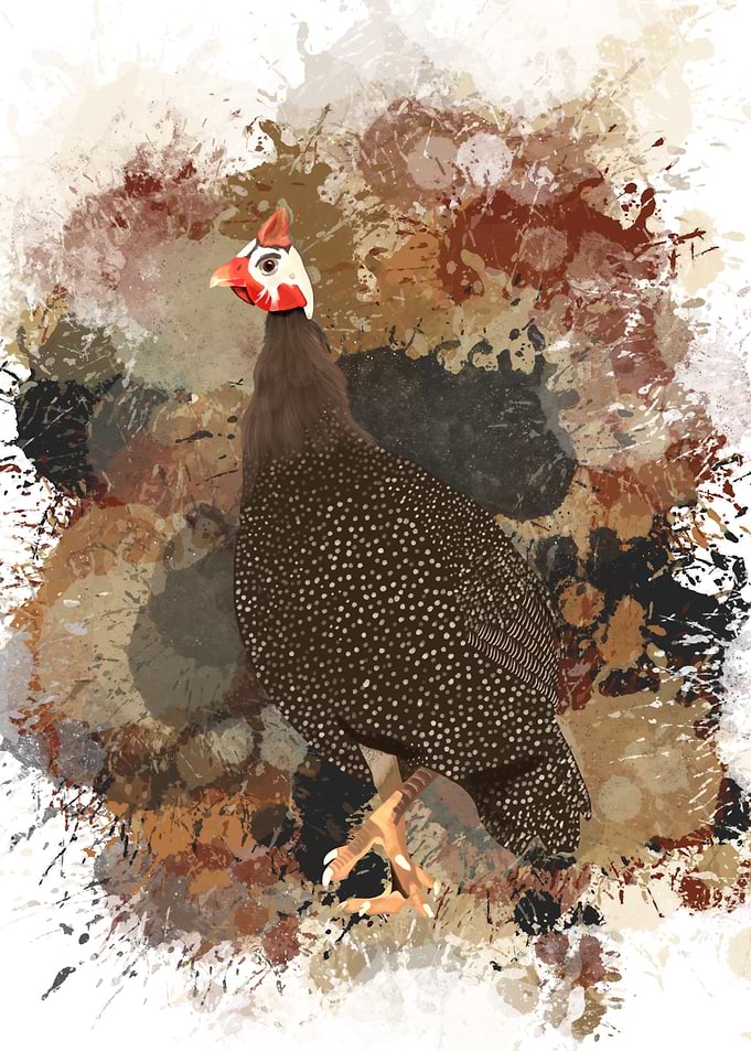 Guinea Fowl Paint Splatter