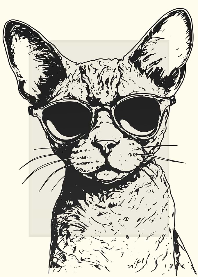 Devon Rex Illustration