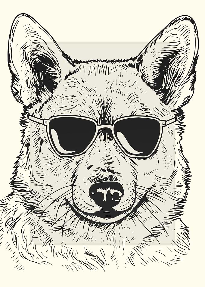 Dingo Illustration