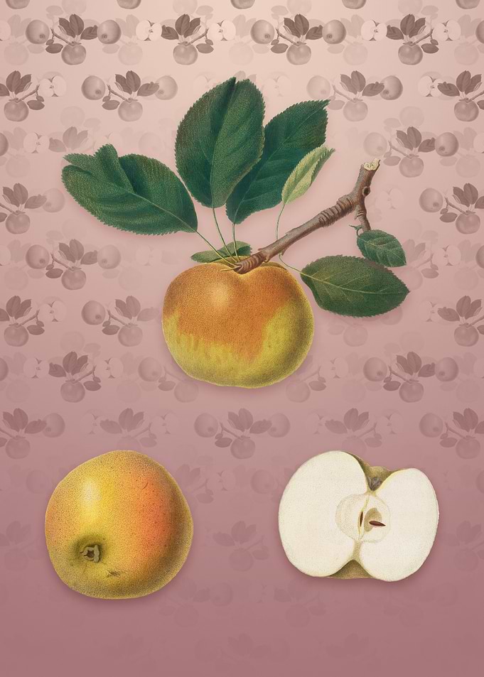 Apple on Dusty Pink