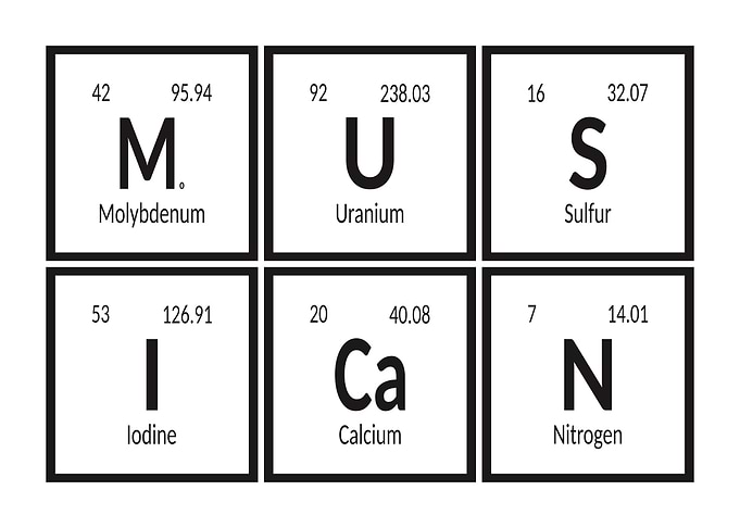 Musican