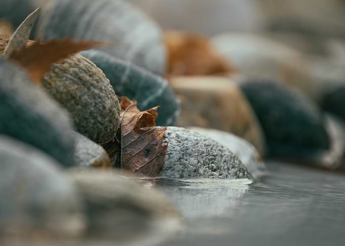 by the rocky shore