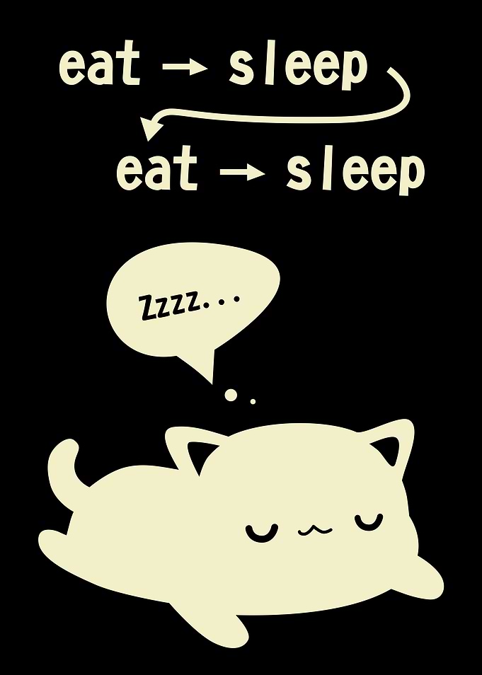 Sleeping Cat