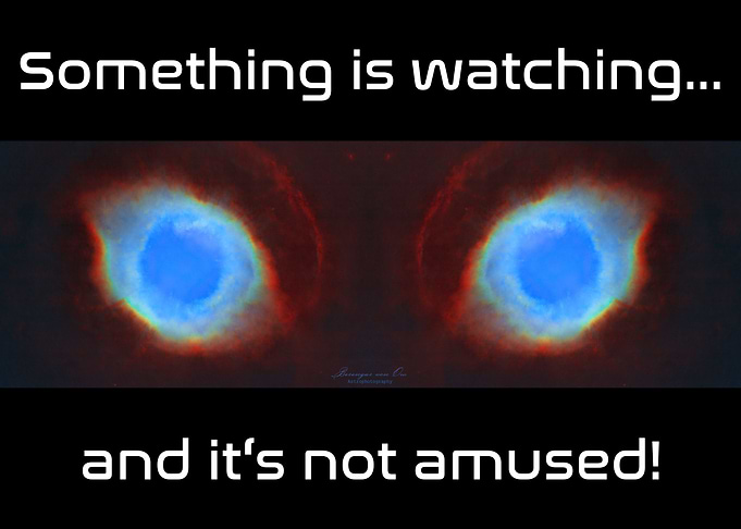 Something is watching
